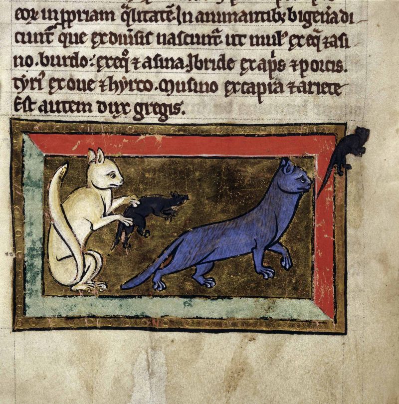 Two cats, one blue chasing a black mouse out of the frame of the image, one blonde and holding a mouse in its front paws