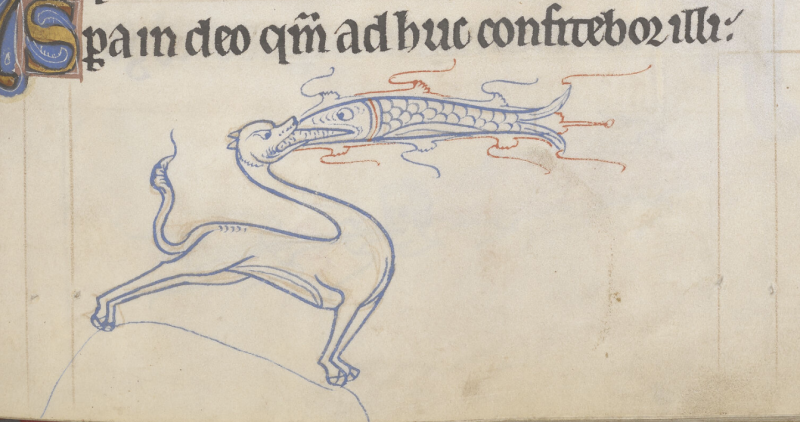 A fish in combat with an animal from a medieval manuscript