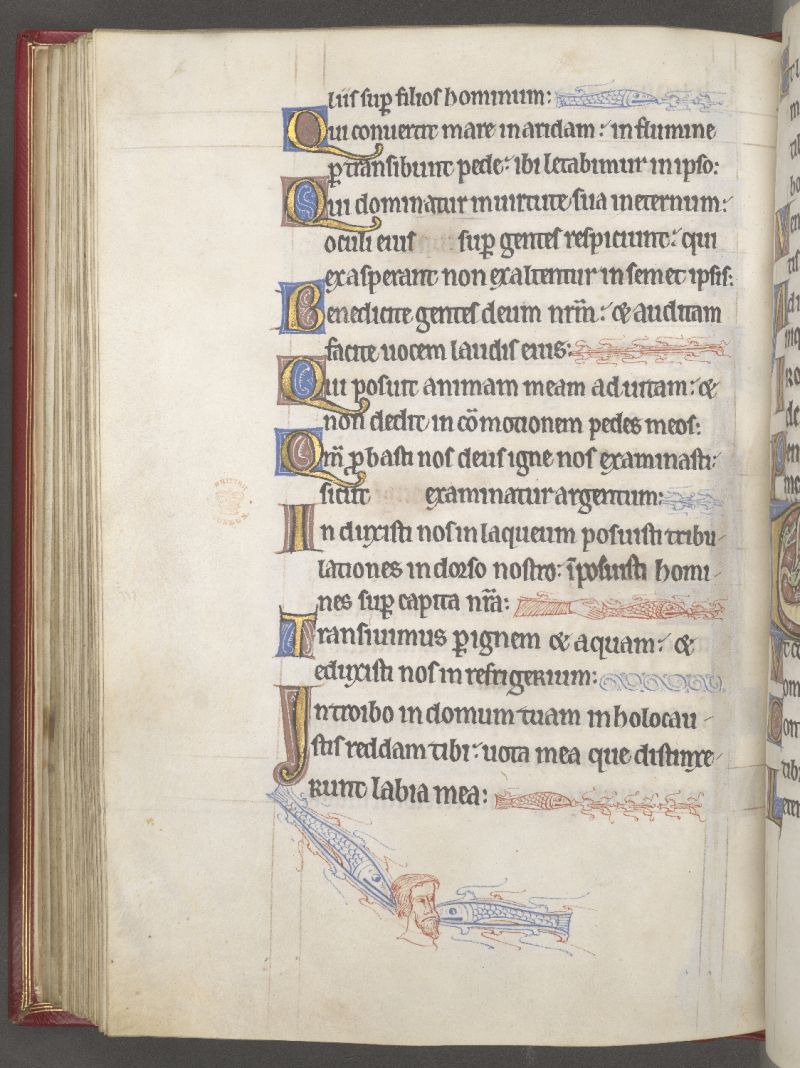 Two fish attacking a bearded man's head in the margin of an illuminated Psalter