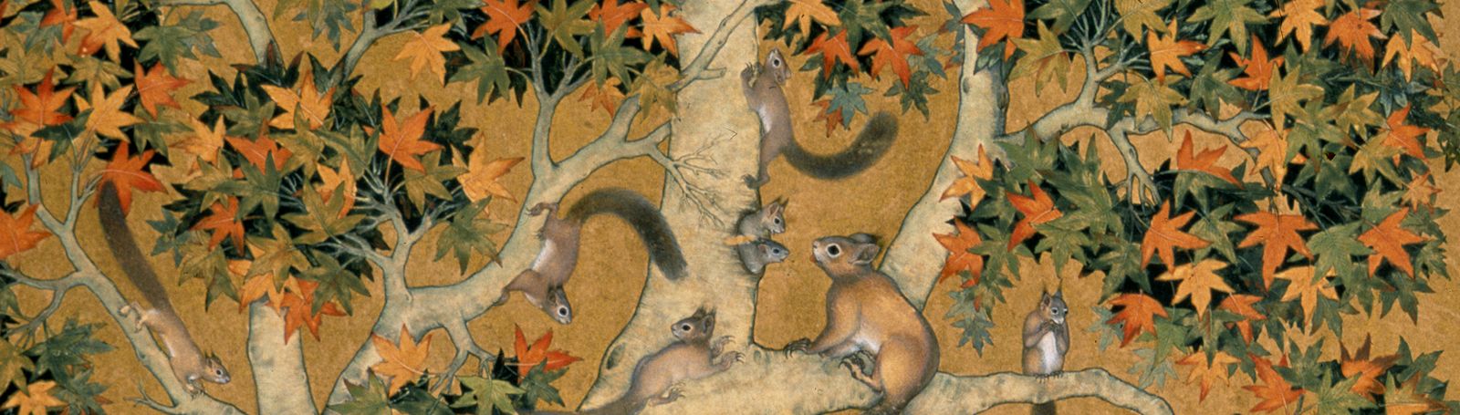 Illustration of squirrels in trees.