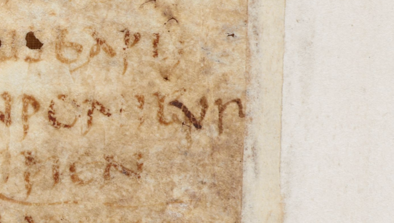 A detail from a 4th-century manuscript of the letters of Cyprian, showing an 8th-century annotation to the text.
