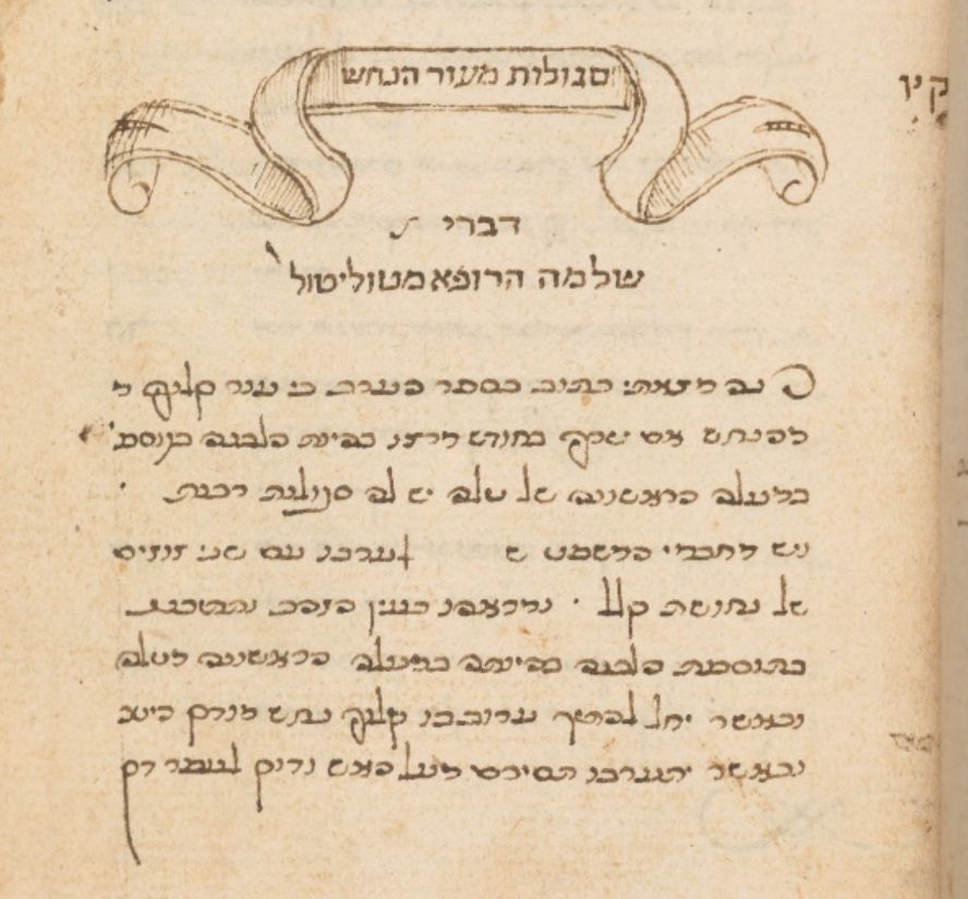 Text about the magical qualities of snake skin.