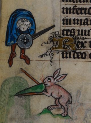 A man and a rabbit approach one another with swords and shields
