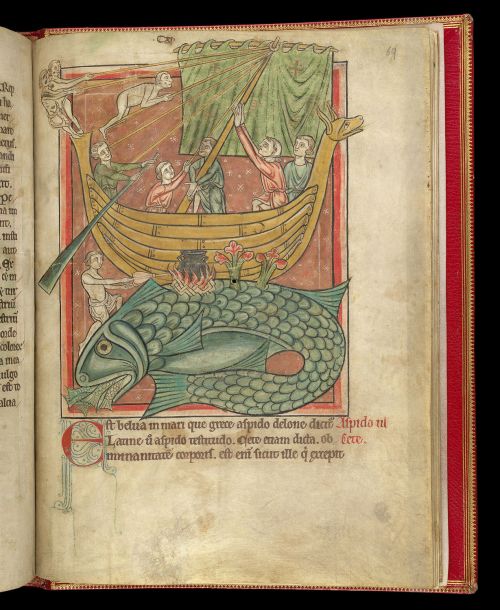 Sailors in a boat making camp on the back of a whale. One sailor has got out the boat to light a fire