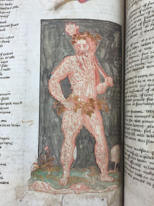 A pasted-in wodewose from the end of Book I of John Lydgate's Fall of Princes, England, c. 1470, Harley MS 4197, f. 34v.