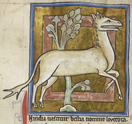Detail of a miniature of a leucrota.