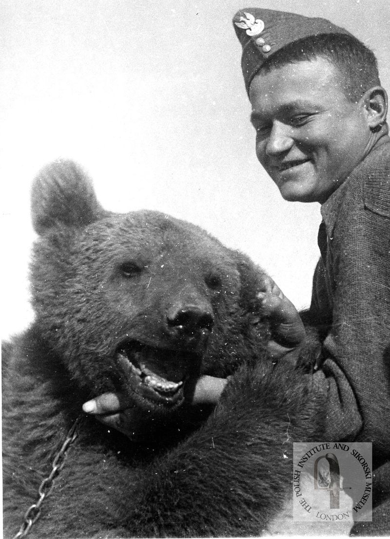 A man in a soldiers uniform posing with a live bear