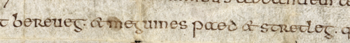 Extract of handwritten manuscript