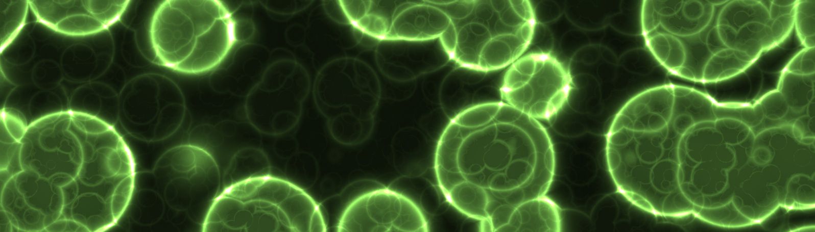 Illuminated microscopic cells.