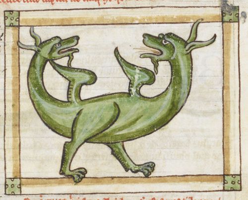 Detail of a miniature of an amphivena, from a theological miscellany including a bestiary, England, 1236 – c. 1250.