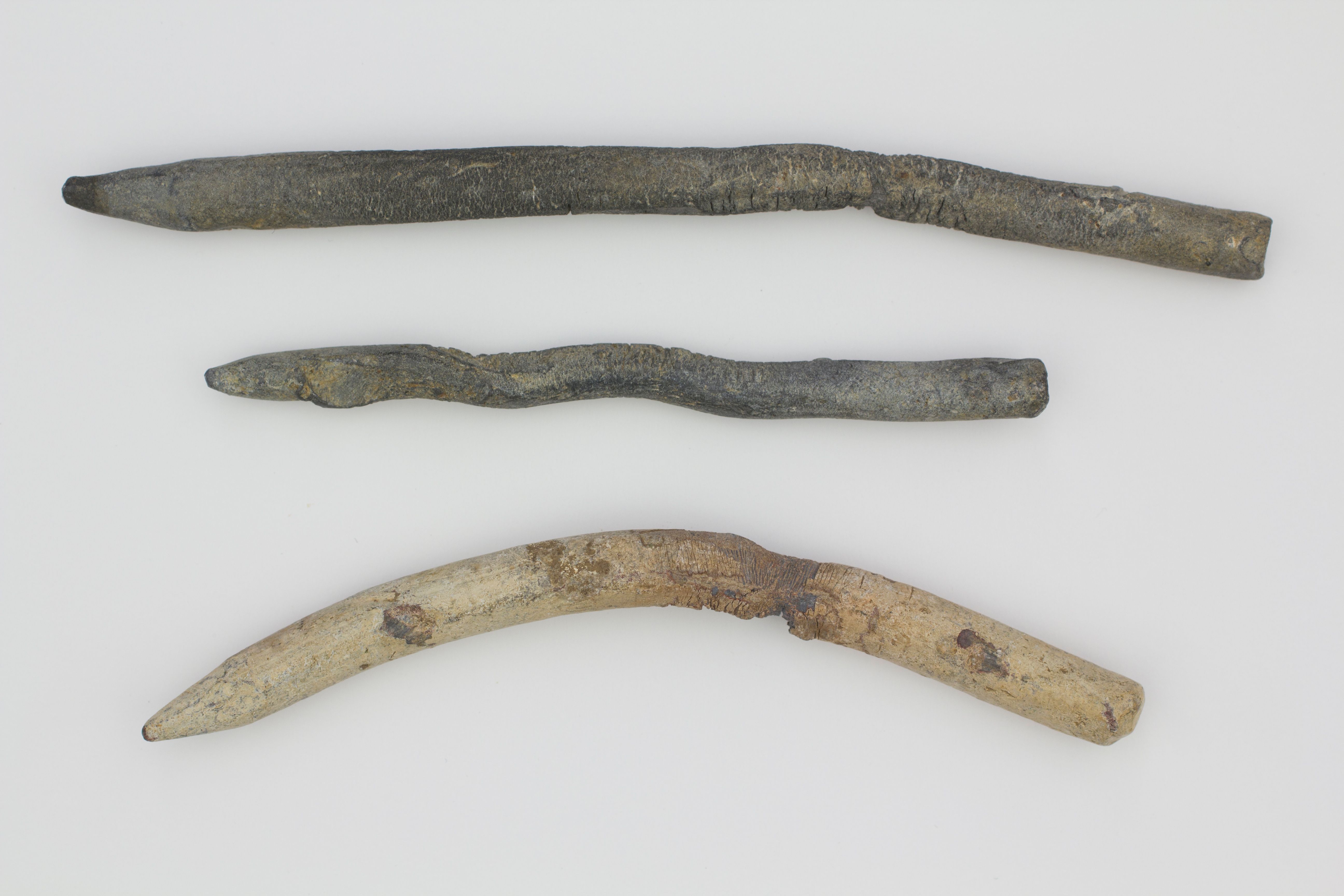 Three lengths of lead drawn to a point for writing and drawing.