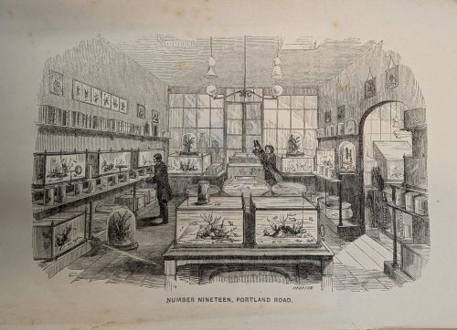The interior of a room