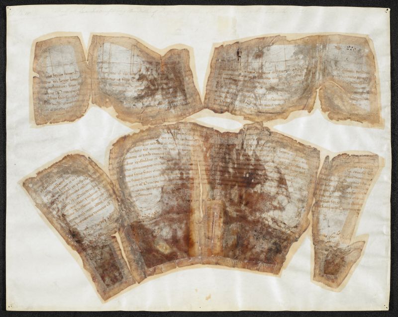 The papal bull of Pope Leo X conferring the title Fidei defensor on Henry VIII, significantly damaged in the Cotton Fire of 1731.