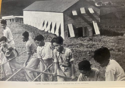 A black and white photo of workers on the field