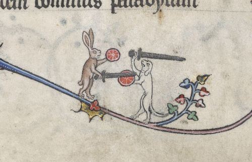 A rabbit holding a red shield and a sword fights a dog who is armed in the same way