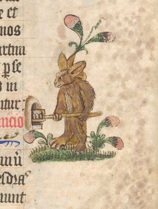 A rabbit pushes a tray of baked goods into an oven.