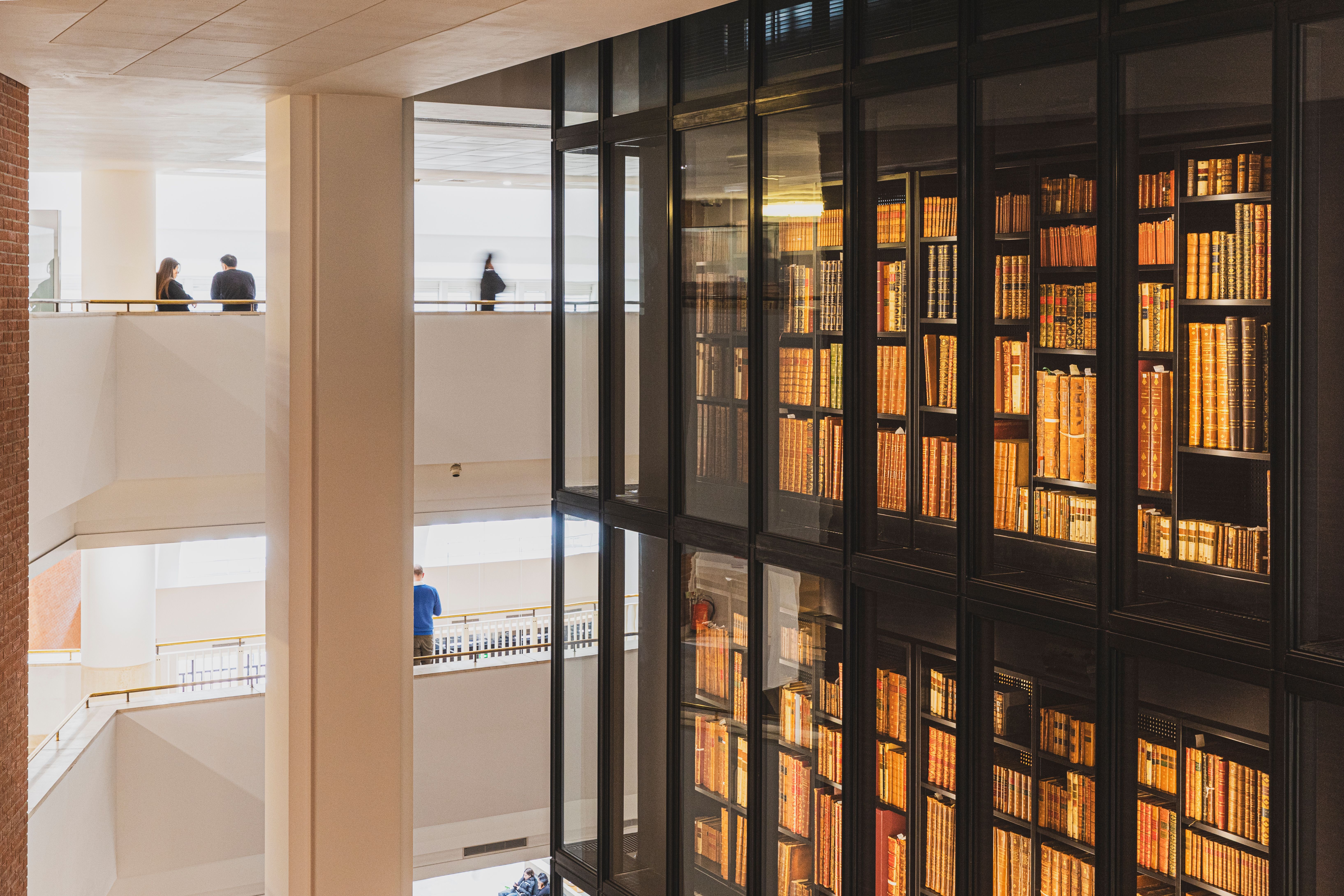 King's Library Tower and public areas in the British Library