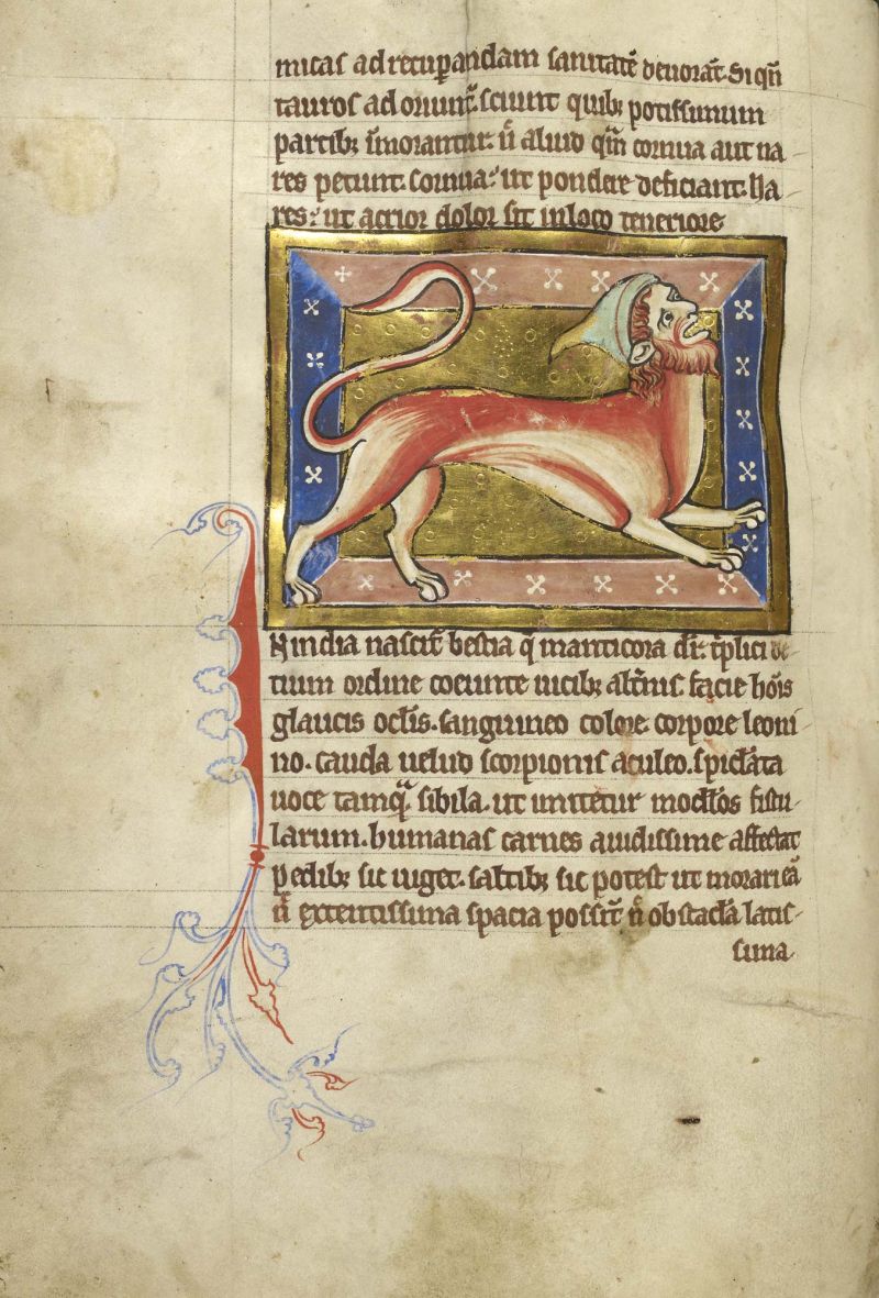 A manticore wearing a jaunty hat