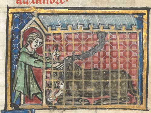 Bucephalus with three horns inside a cage being tamed by Alexander.