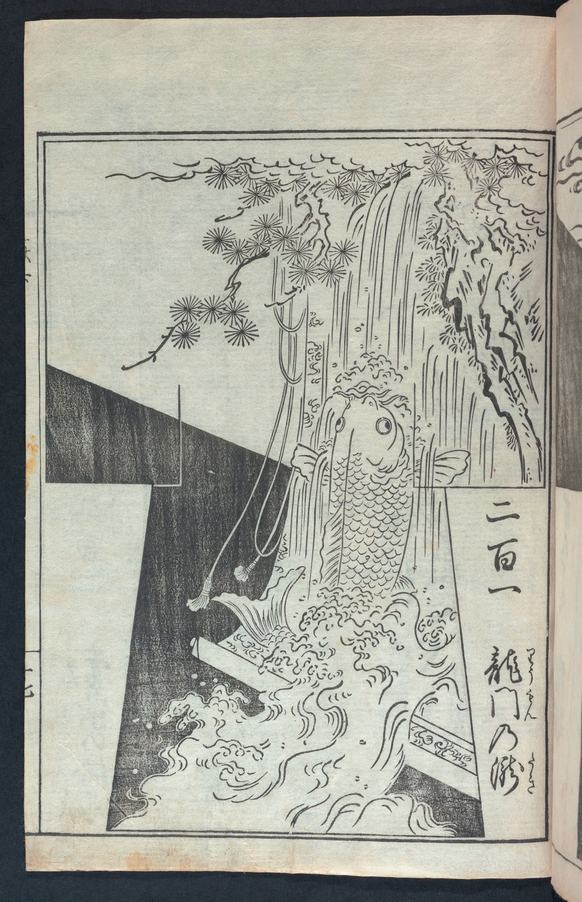 Carp swimming up waterfall.
