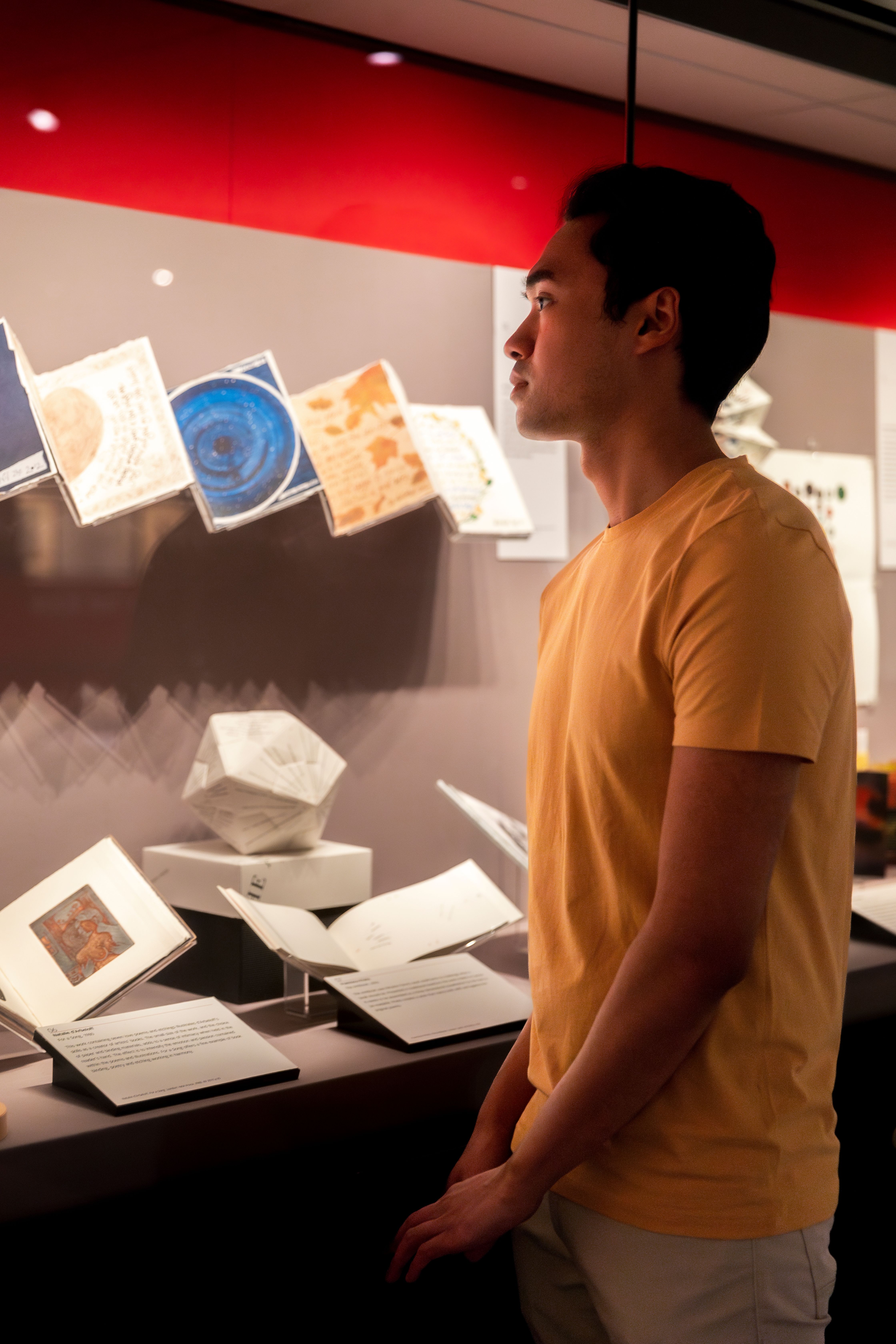 Person looking at exhibits in the British Library's Treasures Gallery