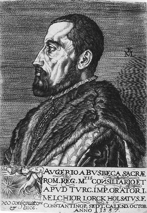 Portrait of Ogier Gheselin.