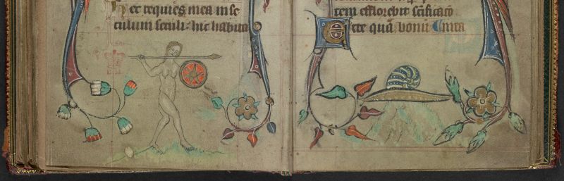 An opening from a Book of Hours, featuring a marginal illustration of a naked woman fighting a snail.