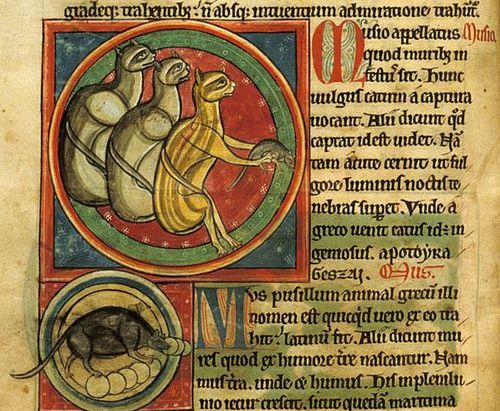 A page from a 13th-century bestiary, showing illustrations of cats and mice.
