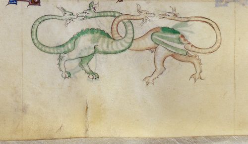 Detail of a bas-de-page scene of two amphivenas, from the Queen Mary Psalter, England (London?), 1310 – 1320.