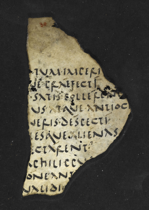 Text on a Papyrus