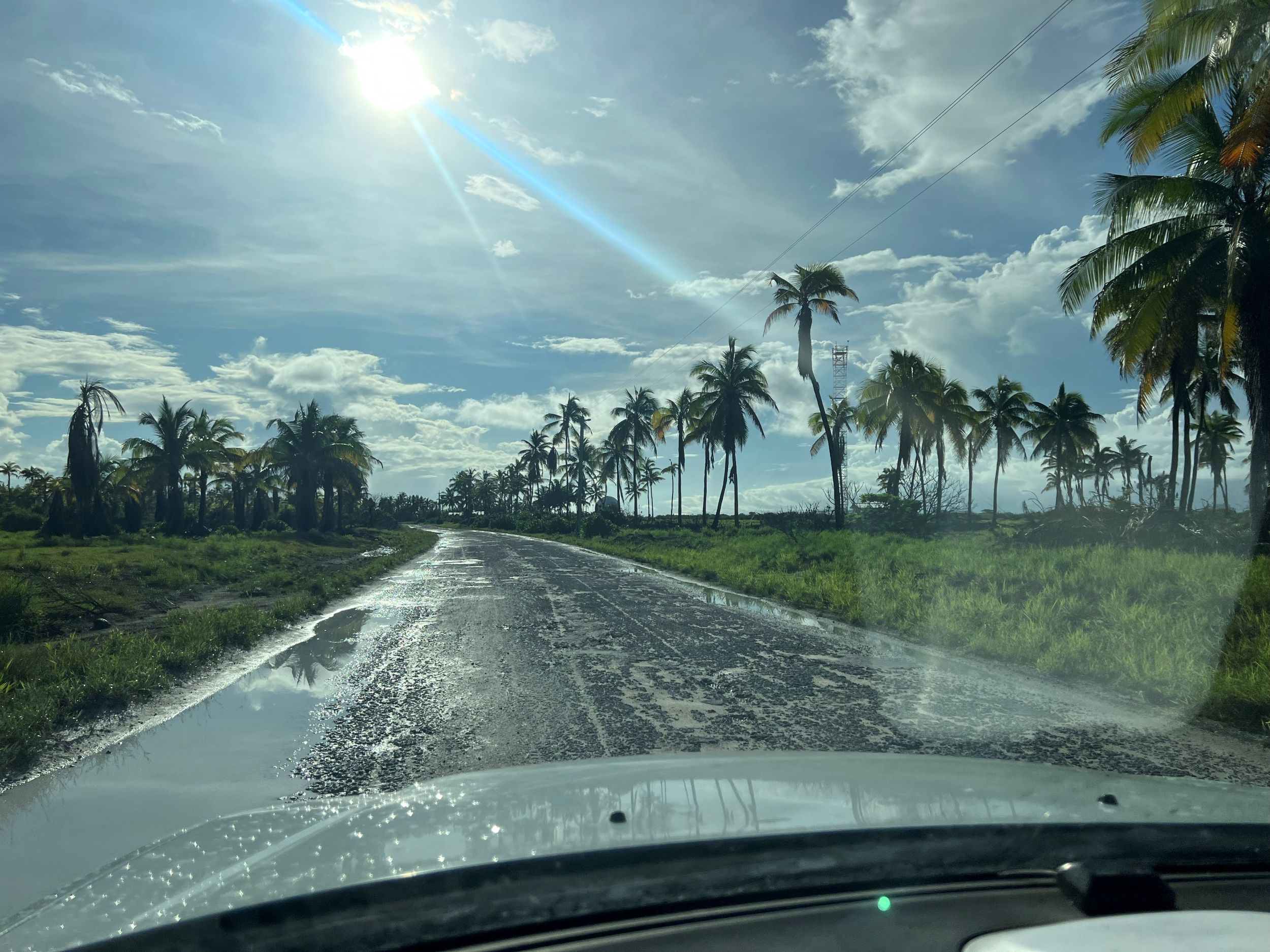 Flooding on Christmas Island's main road, which is lined by palm trees, silhouetted by the sun.