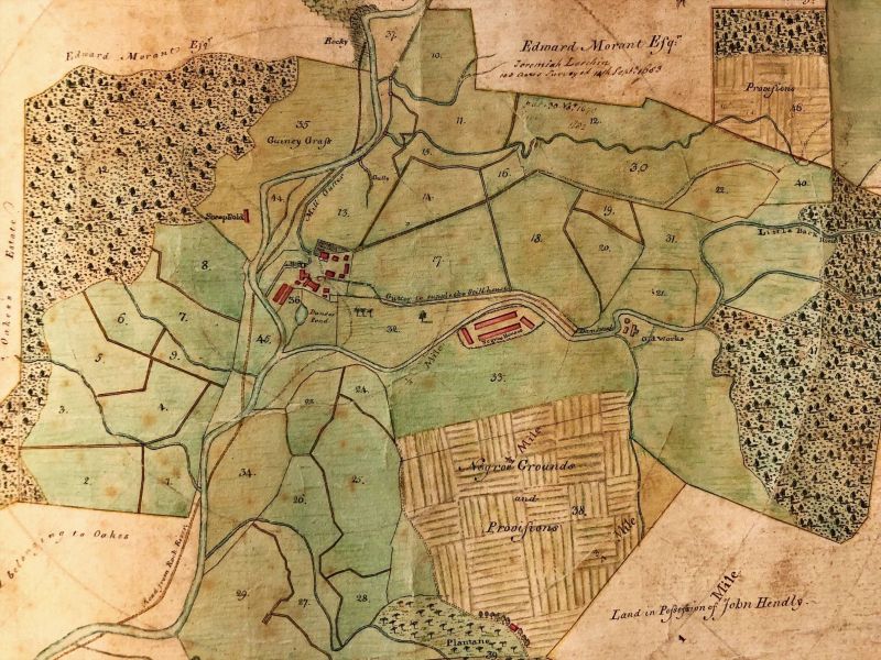 A hand drawn map showing the different land uses on a Jamaican estate in the 18th century.