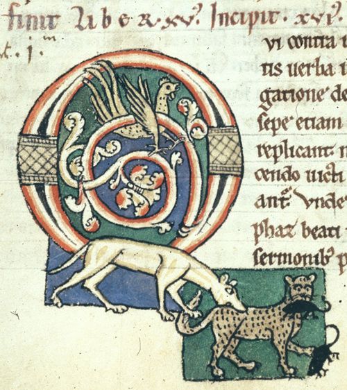 A detail from a 12th-century manuscript, showing a decorated initial and an illustration of a dog catching a cat catching mice.