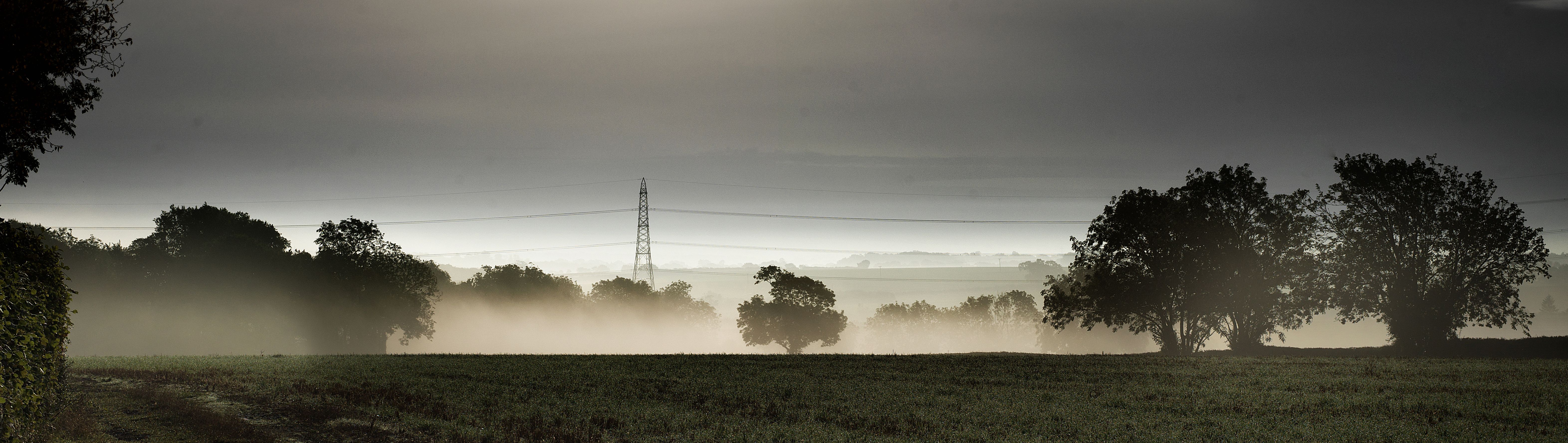 Rural landscape with an electricity pylon in the middleground and trees in the foreground and middleground.