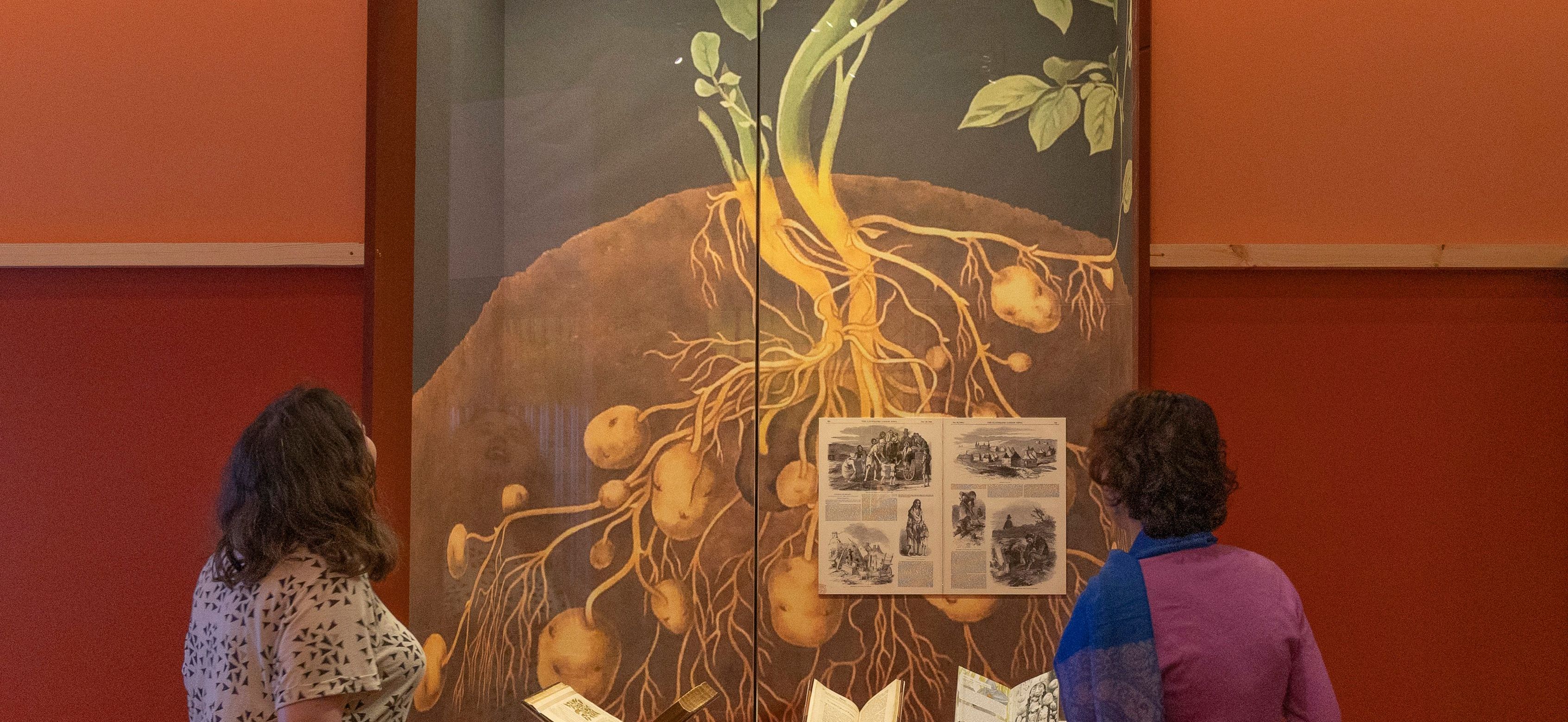 Two people stand in front of an image at the British Library gardening exhibition.