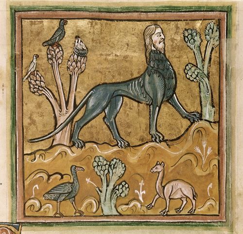 Detail of a miniature of a manticore from the Rochester Bestiary, England (Rochester?), c. 1230.