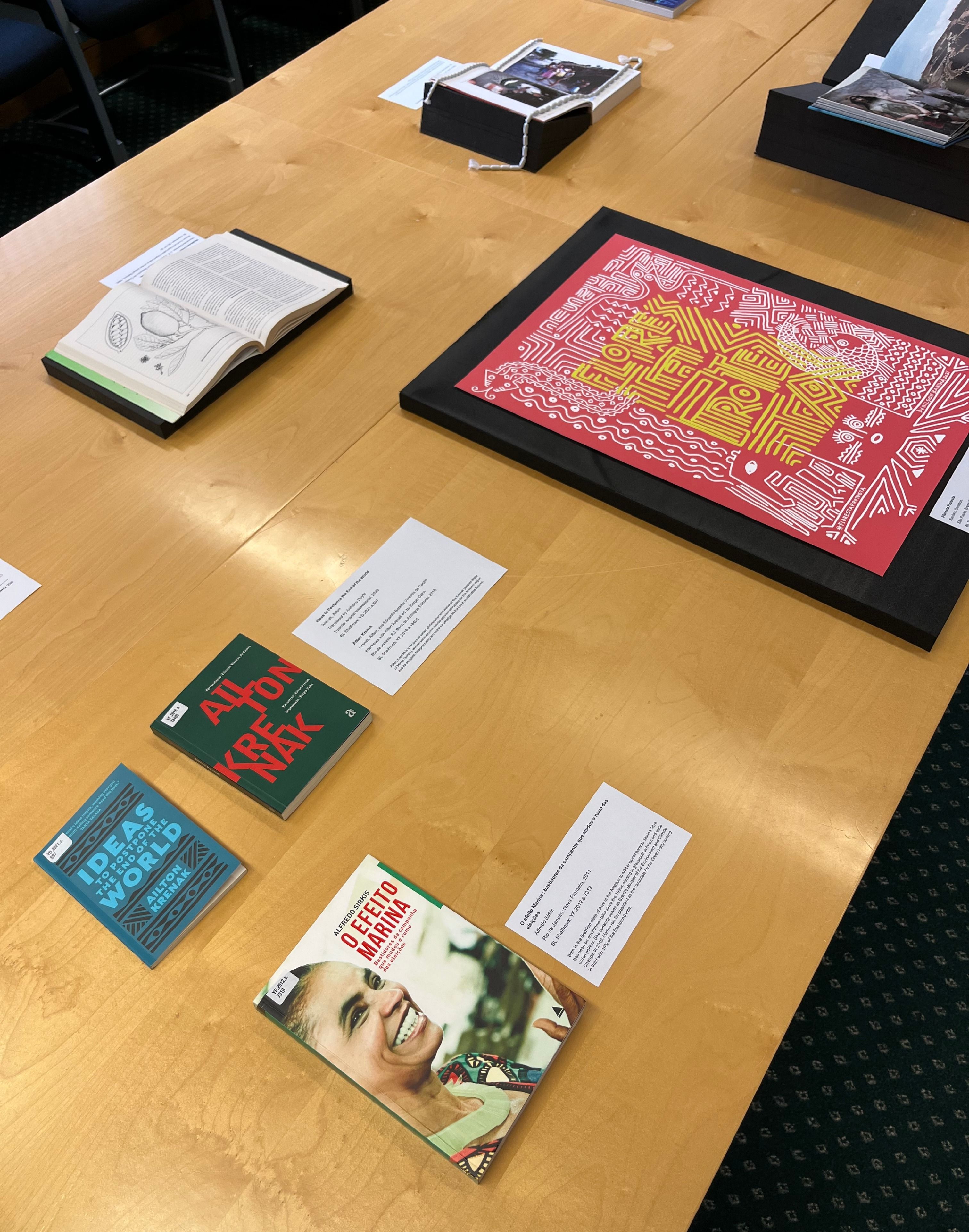 Collection display of books by and about Ailton Krenak and Marina Silva, and a poster with artwork by Denilson Baniwa.