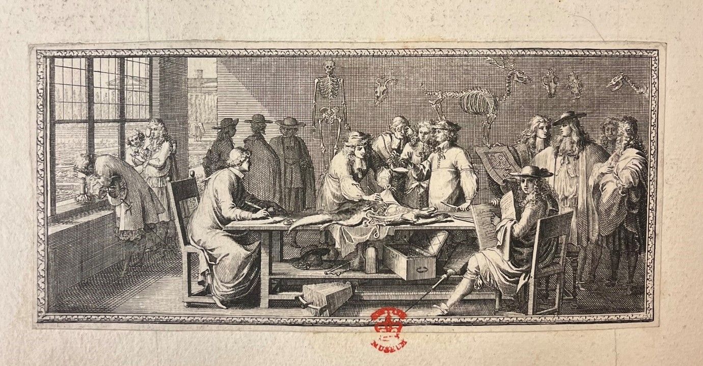 A print of a dissection taking place with surgeons around a table