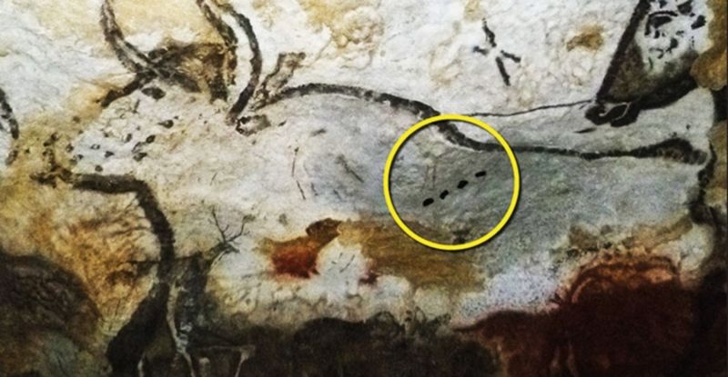A cave painting of an aurochs with four dots on its body, on the wall of Lascaux Cave (Dordogne, France), created around 21,500 years ago.