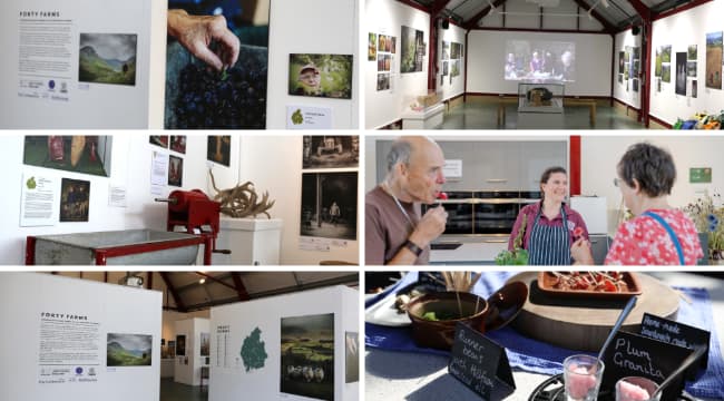 Dr Wall’s Dinner, Museum of Royal Worcester, Dyson Perrins Museum Trust exhibition imagery.